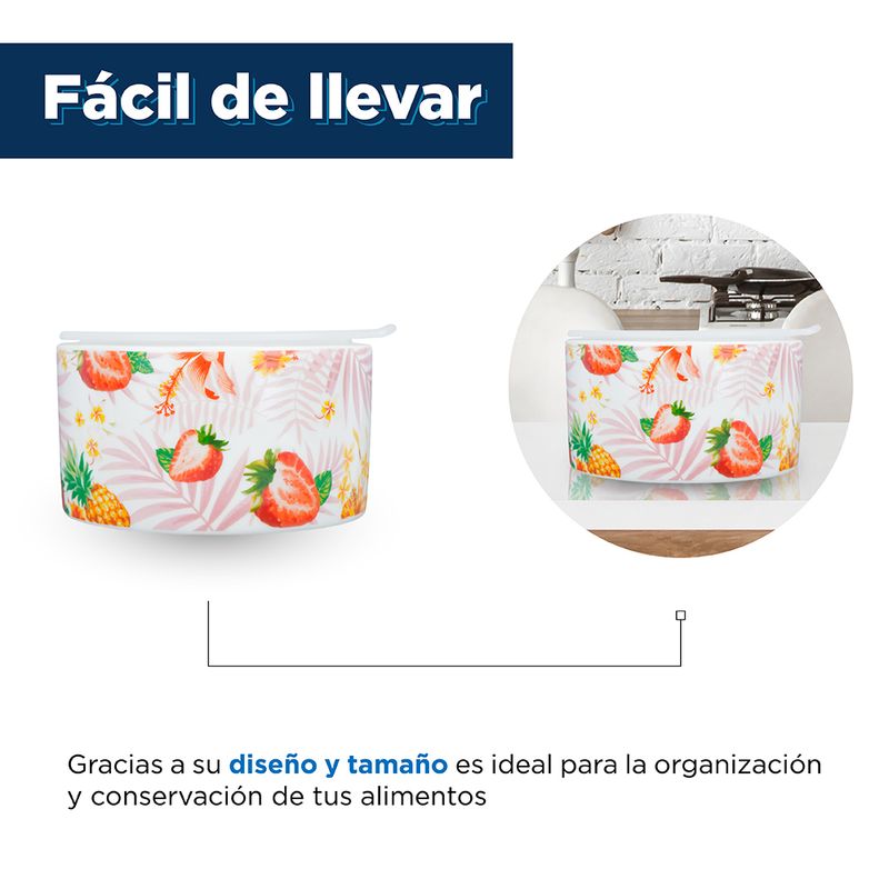 Contenedor De Alimentos - Cocina - Miniso en Línea