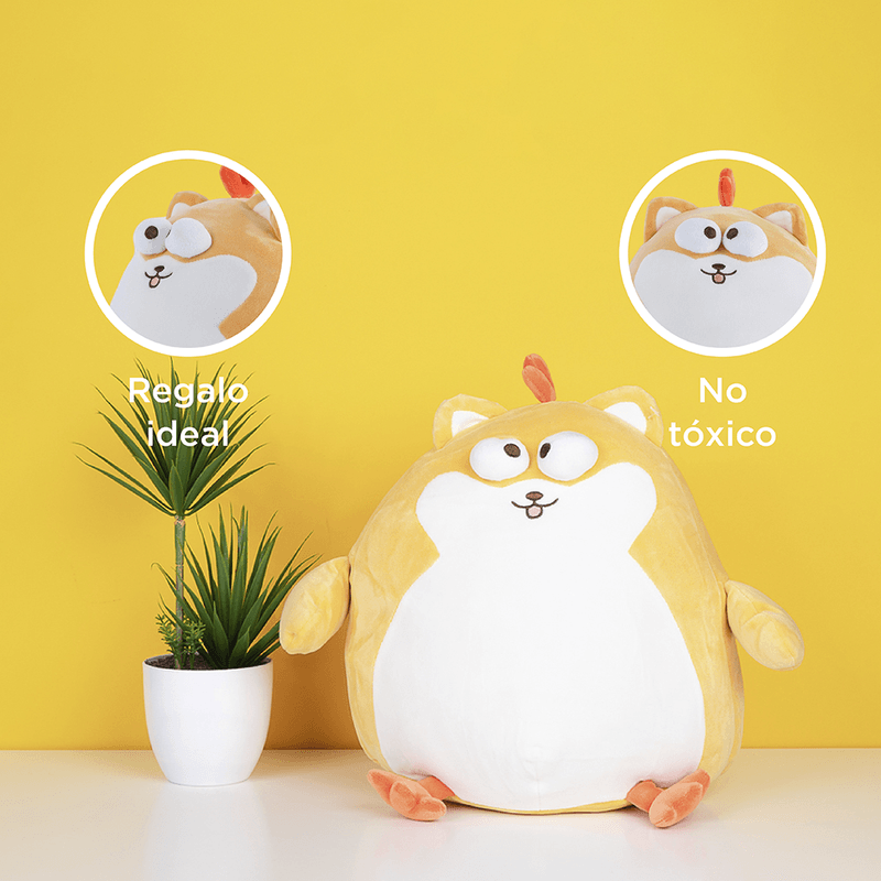 Miniso corgi best sale