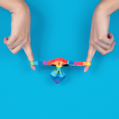 Collar Para Mascota Con Corbatín Rainbow 100% Poliéster Multicolor 20-40 cm