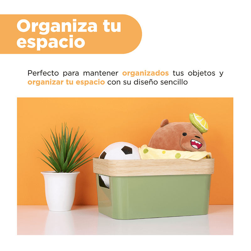 Organizador-Rectangular-Pl-stico-Verde-25-2x17-2x12-6-cm-5-18932
