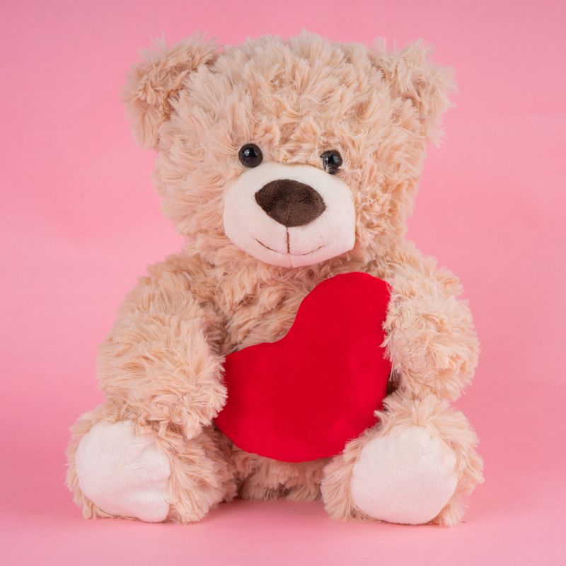 Oso De Un Osito Con CorazÃ³n Peluche Miniso Osito Con Corazón